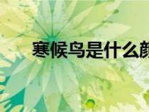 寒候鳥是什么顏色（什么是寒候鳥呢）