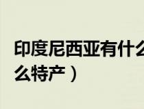 印度尼西亞有什么特產(chǎn)食品（印度尼西亞有什么特產(chǎn)）
