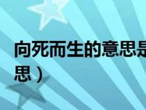 向死而生的意思是死的意思嗎（向死而生的意思）