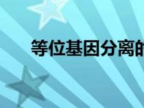 等位基因分離的概念（等位基因分離）