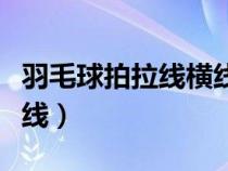 羽毛球拍拉線橫線高還是豎線高（羽毛球拍拉線）