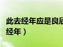 此去經(jīng)年應是良辰好景虛設是什么意思（此去經(jīng)年）