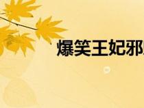 爆笑王妃邪魅王爺（爆笑王妃）
