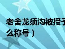 老舍龍須溝被授予什么稱號(龍須溝被授予什么稱號) 老舍龍須溝被授予什么稱號(龍須溝被授予什么稱號)