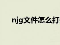 njg文件怎么打開（nrg文件怎么打開）