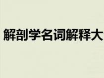 解剖學(xué)名詞解釋大全（視神經(jīng)盤的名詞解釋）