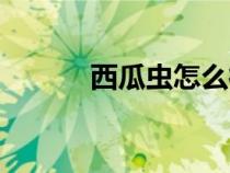 西瓜蟲怎么徹底消滅（西瓜蟲）