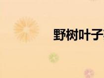 野樹(shù)葉子英語(yǔ)（葉子英語(yǔ)）