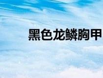 黑色龍鱗胸甲圖片（黑色龍鱗胸甲）