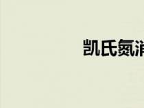 凱氏氮消解瓶（凱氏氮）
