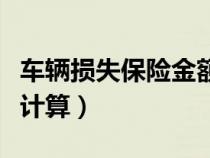 車輛損失保險金額怎么算的（車輛損失險如何計算）