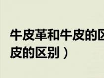 牛皮革和牛皮的區(qū)別哪個(gè)質(zhì)量好（牛皮革和牛皮的區(qū)別）