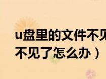 u盤里的文件不見了怎么找回（u盤里的文件不見了怎么辦）
