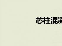 芯柱混凝土圖片(芯柱) 芯柱混凝土圖片(芯柱)