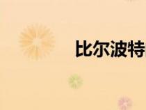 比爾波特的書（比爾波特）