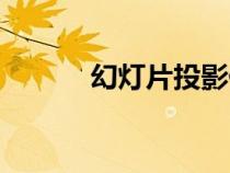 幻燈片投影儀（幻燈片投影機(jī)）
