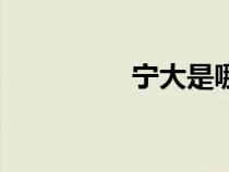 寧大是哪所大學(xué)（寧大）