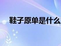 鞋子原單是什么意思（原單是什么意思）