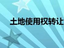 土地使用權轉讓協(xié)議（土地使用權轉讓）