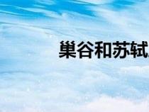 巢谷和蘇軾之間的故事（巢谷）