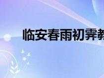 臨安春雨初霽教學(xué)設(shè)計(jì)（臨安春雨初）