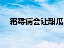 霜霉病會(huì)讓甜瓜出現(xiàn)哪種癥狀（霜霉?。? title=