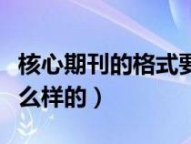 核心期刊的格式要求（一般核心期刊格式是什么樣的）