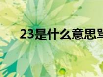 23是什么意思罵人（23號(hào)是什么意思）