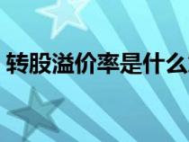 轉股溢價率是什么意思（溢價率是什么意思）