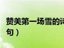 贊美第一場雪的詩句古詩（贊美第一場雪的詩句）