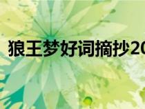 狼王夢好詞摘抄200個（狼王夢好詞100個）