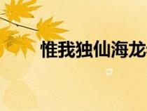 惟我獨(dú)仙海龍老婆（惟我獨(dú)仙海龍）
