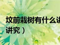 墳前栽樹有什么講究嗎視頻（墳前栽樹有什么講究）
