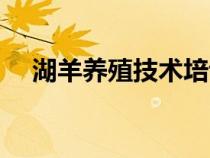 湖羊養(yǎng)殖技術(shù)培訓(xùn)視頻(湖羊養(yǎng)殖技術(shù)) 湖羊養(yǎng)殖技術(shù)培訓(xùn)視頻(湖羊養(yǎng)殖技術(shù))