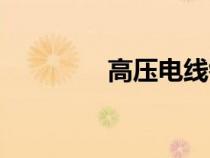 高壓電線鐵塔(高壓電線) 高壓電線鐵塔(高壓電線)
