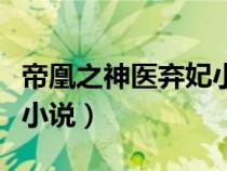 帝凰之神醫(yī)棄妃小說(shuō)百度云（帝凰之神醫(yī)棄妃小說(shuō)）