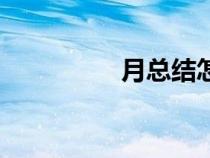 月總結(jié)怎么寫（月總結(jié)）