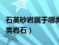 石英砂巖屬于哪類巖石類型（石英砂巖屬于哪類巖石）