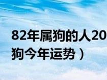 82年屬狗的人2024年的運(yùn)勢(shì)及運(yùn)程(82年屬狗今年運(yùn)勢(shì)) 82年屬狗的人2024年的運(yùn)勢(shì)及運(yùn)程(82年屬狗今年運(yùn)勢(shì))