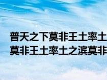 普天之下莫非王土率土之濱莫非王臣反映了什么（普天之下莫非王土率土之濱莫非王臣）