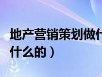 地產(chǎn)營銷策劃做什么的工作（地產(chǎn)營銷策劃做什么的）