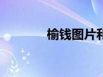 榆錢圖片和功效（榆錢圖片）