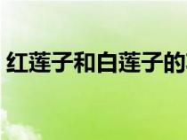 紅蓮子和白蓮子的功效有什么區(qū)別（紅蓮子）