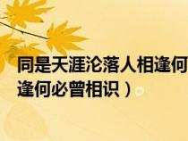 同是天涯淪落人相逢何必曾相識下一句（同是天涯淪落人相逢何必曾相識）