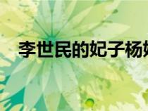 李世民的妃子楊妃是誰(shuí)?（李世民的妃子）