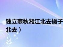 獨立寒秋湘江北去橘子洲頭正常語序多少字（獨立寒秋湘江北去）