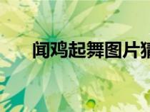 聞雞起舞圖片猜成語（聞雞起舞圖片）