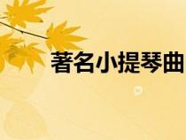 著名小提琴曲田園（著名小提琴曲）