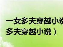 一女多夫穿越小說女主給可以夜御十男（一女多夫穿越小說）