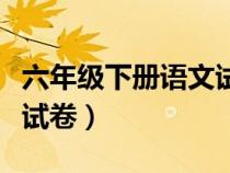 六年級(jí)下冊(cè)語(yǔ)文試卷可打?。昙?jí)下冊(cè)語(yǔ)文試卷）